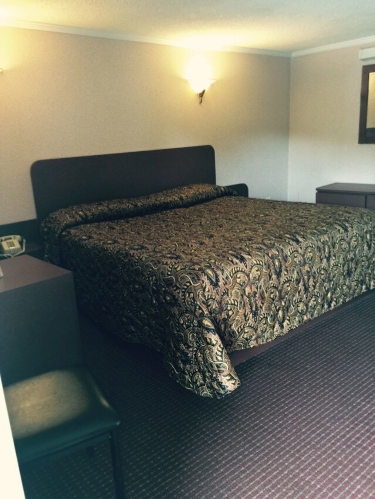 Skyview Motor Inn Johnston Экстерьер фото